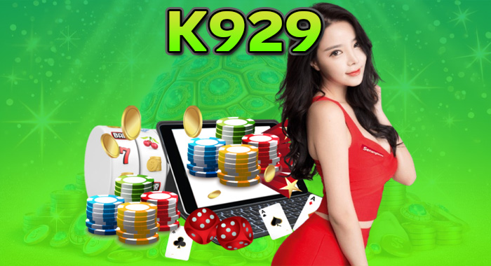 LSM919